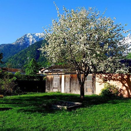 Apartamento Haus Stainer Lofer Exterior foto
