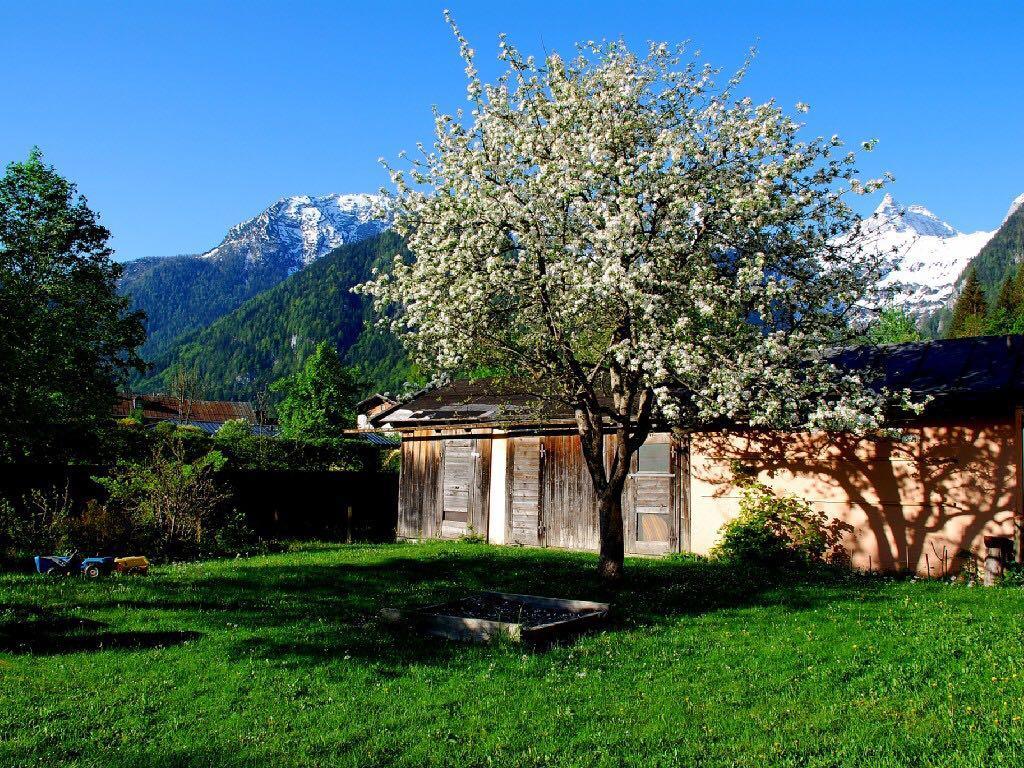 Apartamento Haus Stainer Lofer Exterior foto